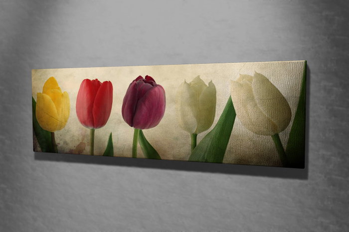 Wallity PC147 Lienzo Decorativo Multicolor 30 x 80 cm